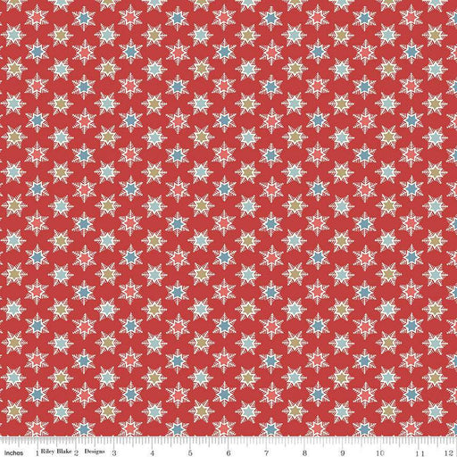 Liberty A Woodland Christmas Forest Star A