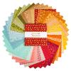 Baked With Love 10 Inch Stacker, 42 Pcs