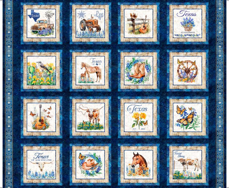 ALL TEXAS SHOP HOP 2026 - TEXAS ICONS PICTURE PATCHES - NAVY