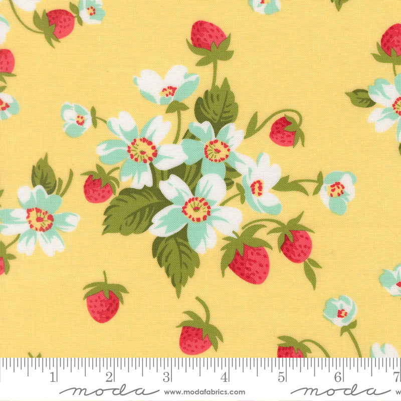 Bloomsberry Buttermilk In Bloom 55350 12 Moda