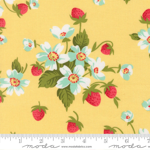 Bloomsberry Buttermilk In Bloom 55350 12 Moda