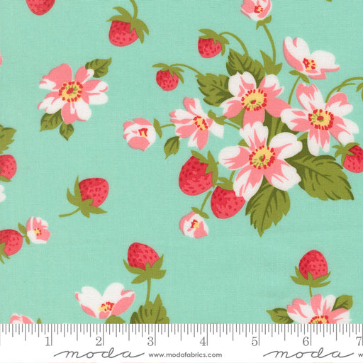 Bloomsberry Aqua In Bloom 55350 13 Moda
