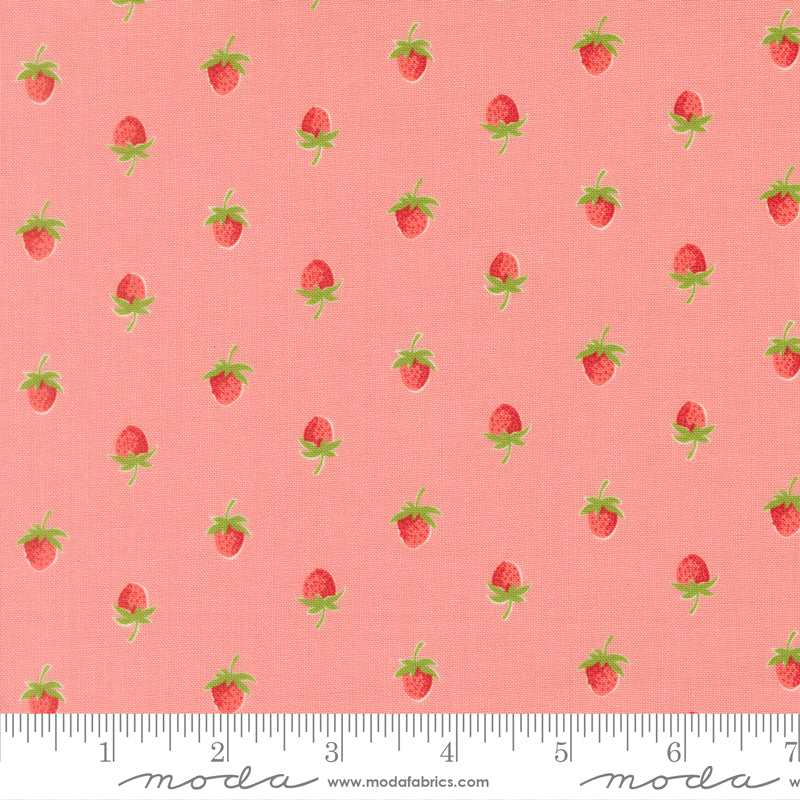 Bloomsberry Blush Berries 55352 16 Moda