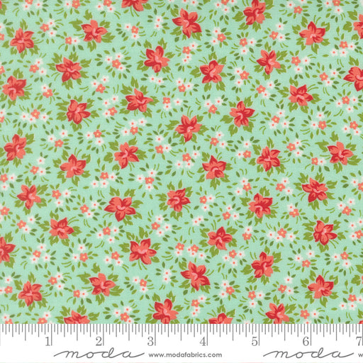 Bloomsberry Aqua Marylebone 55353 13 Moda