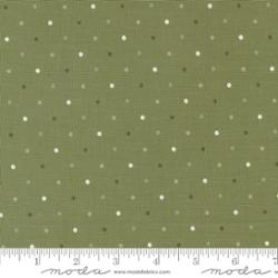 Magic Dot Fern