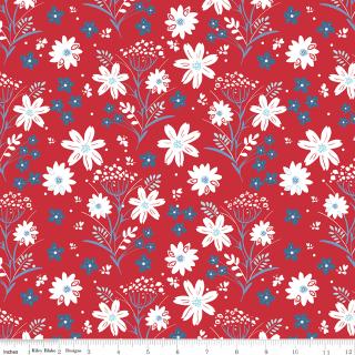 Firework Fields Main Red