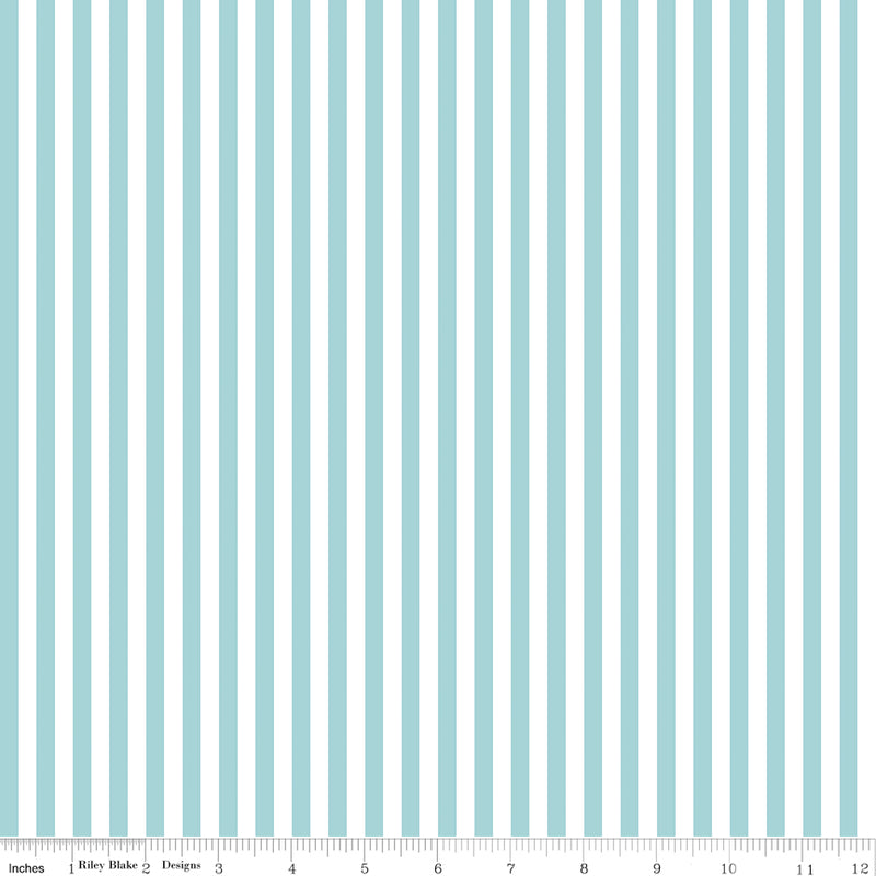 Stripe 1/4 Inch Color Aqua