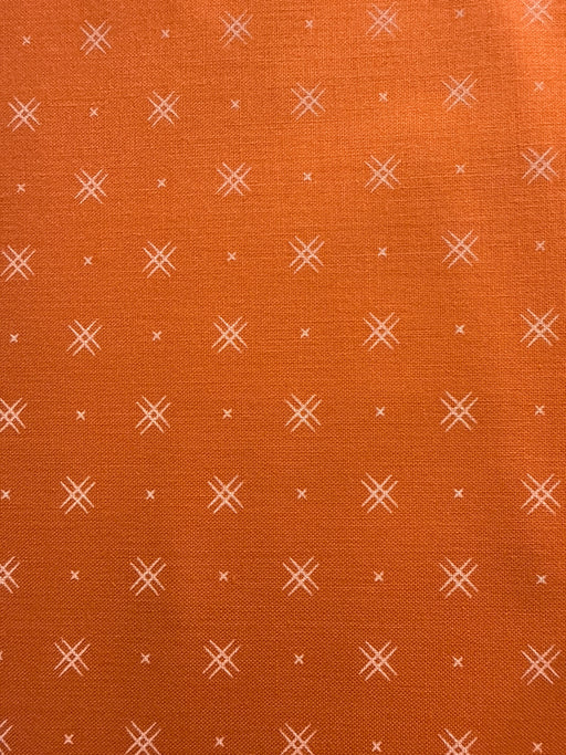 Beyond Bella fabric, Clementine, by Moda
