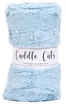 2 yd Luxe Cuddle Cut Hide Raindrop